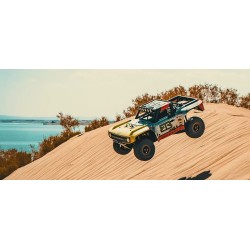 YIKONG YK4074 1/7 Off-road RC Car (Pre-sale)