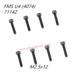 FMS 10702 (4074) 1/7 RC Car Parts Cap Head Screws M2.5x12 APSC71142